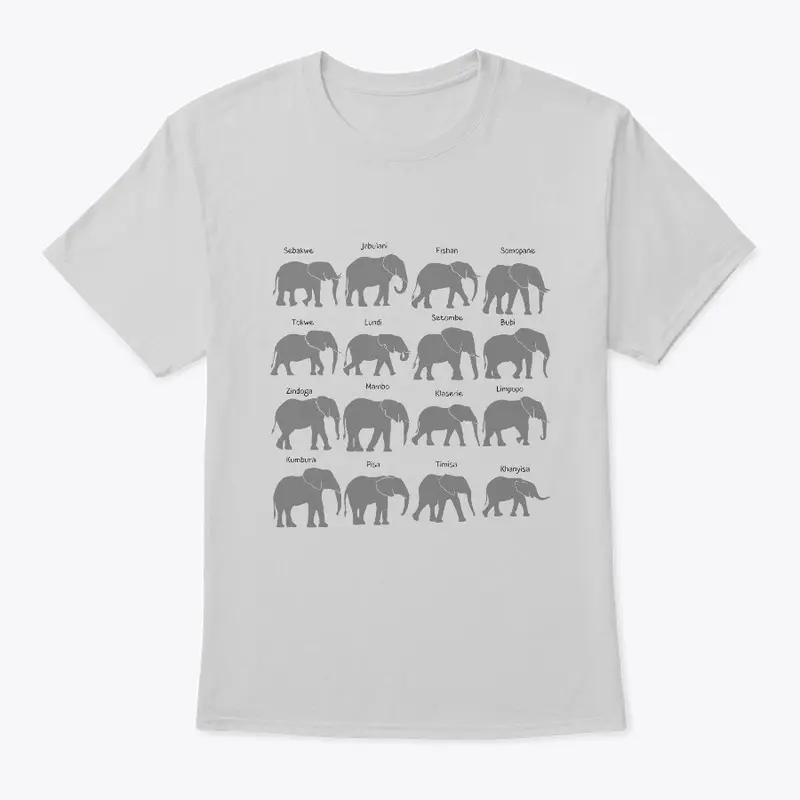 The Jabulani Elephant Herd